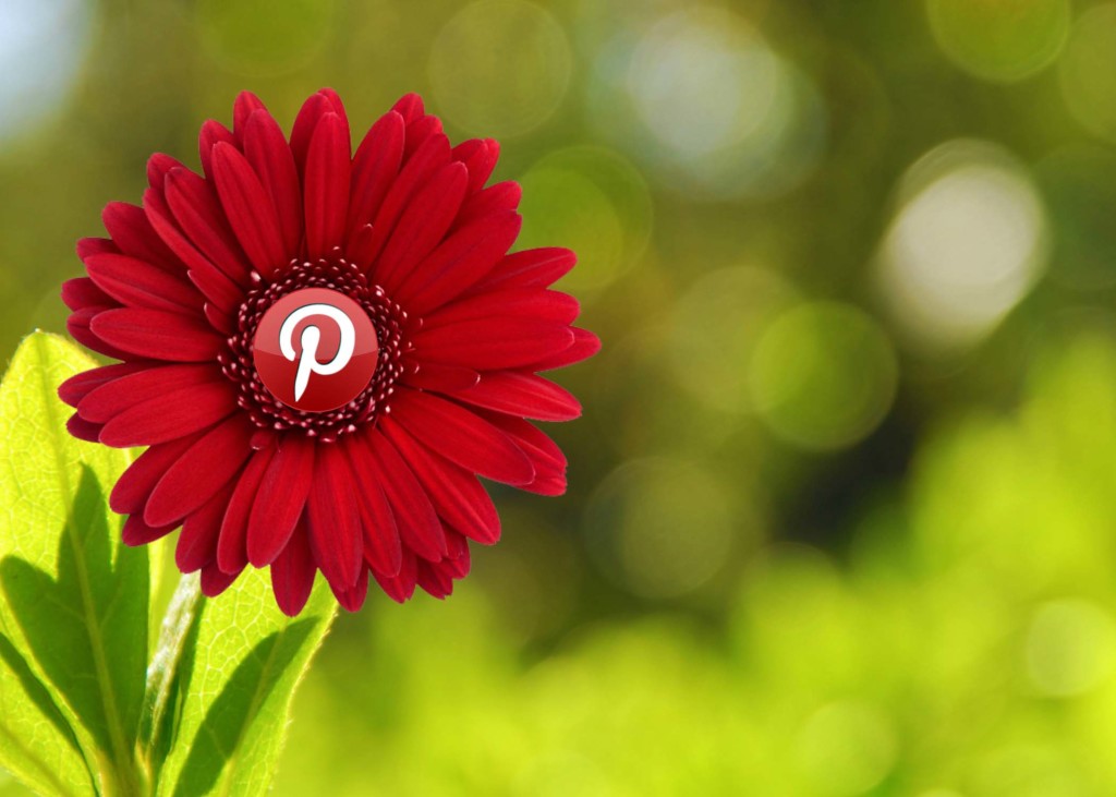 Verify your Blog or website with Pinterest.