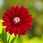 Verify your Blog with Pinterest in a few minutes.