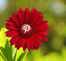 Verify your Blog with Pinterest in a few minutes.