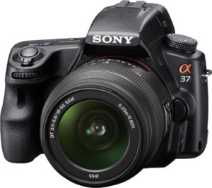 best dslr camera for beginners