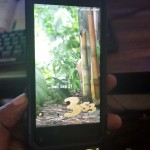 Amazon Fire Phone Review