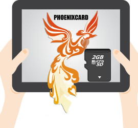 PhoenixCard