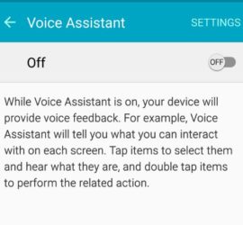 How to enable or Disable Voice assistant