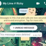 Delete sent Whatsapp messages and Read Messages Deleted by Sender