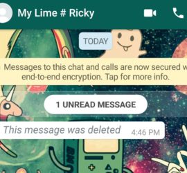 Delete sent Whatsapp messages and Read Messages Deleted by Sender