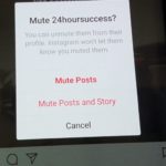 Instagram Mute User or Posts feature