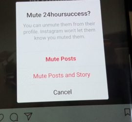 Instagram Mute User