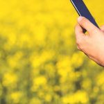 Yellowish Screen Color Fix Galaxy S20