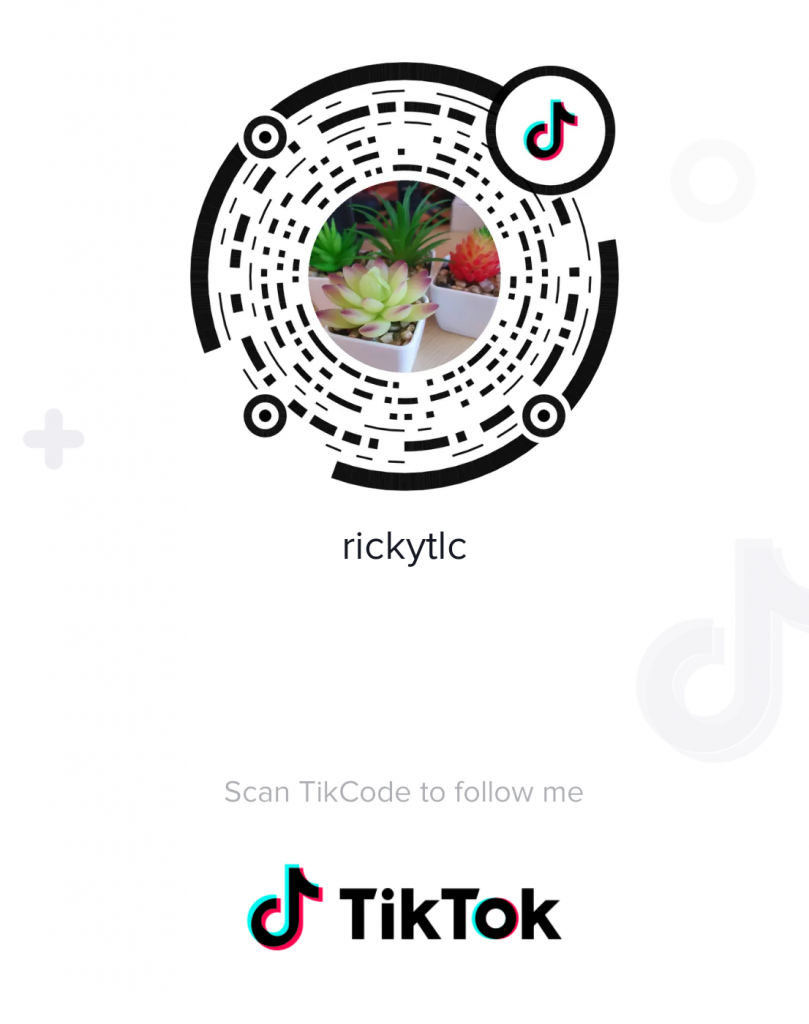 My TikTok Code