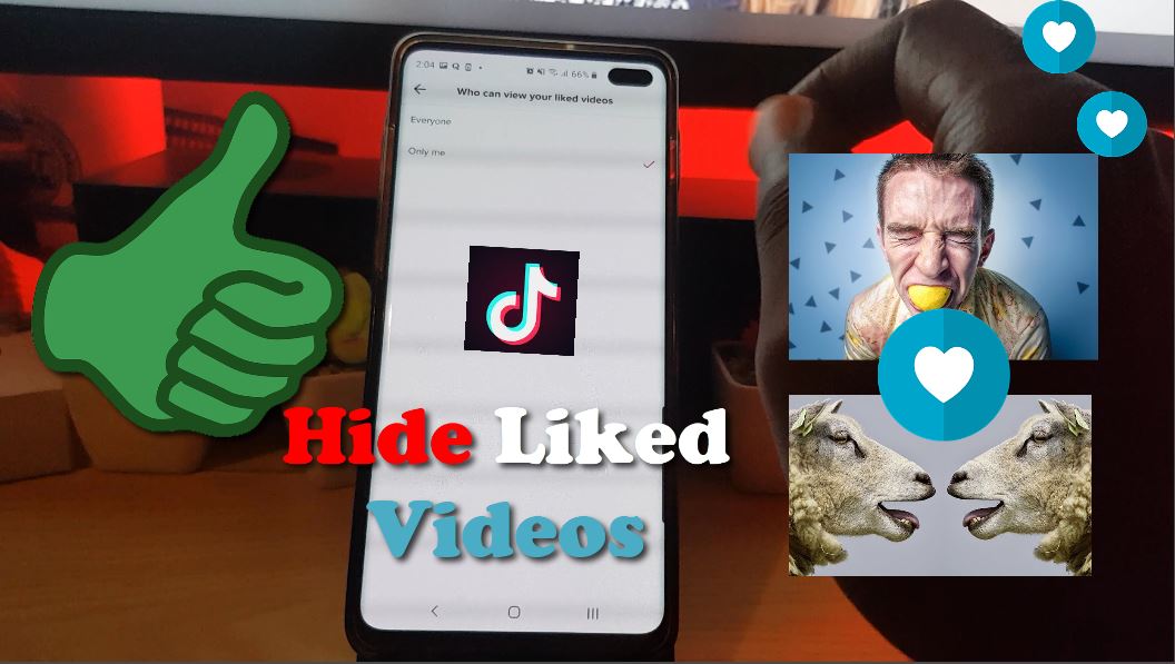 how-to-make-your-liked-videos-private-on-tiktok-blogtechtips