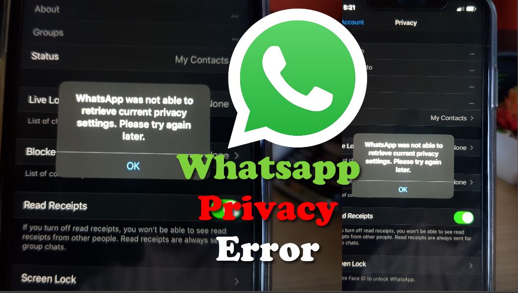 whatsapp for mac not showing images whatsapp for mac not showing images