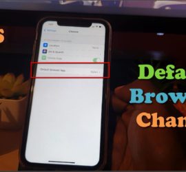 iOS 14 Default Browser Change