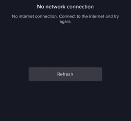 TikTok No Network Connection Fix