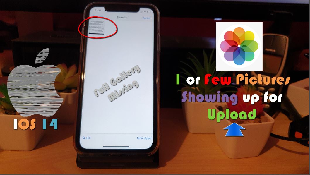 Only one Picture showing in Photos for Upload iPhone Fix