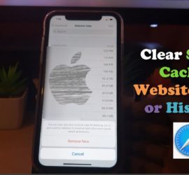 How to Clear Safari Cache on iPhone