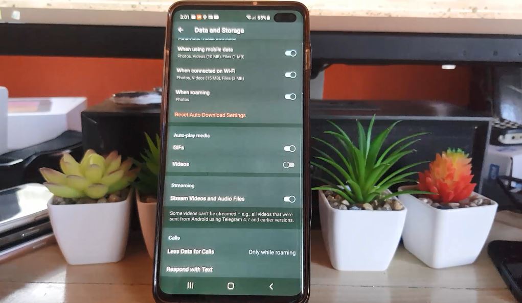 How to Stop Videos Automatically Playing on Telegram