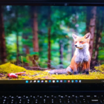 How to Set Wallpaper on Windows 11