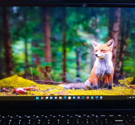 How to Set Wallpaper on Windows 11