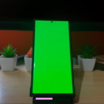 Green Screen Galaxy S22 Fix
