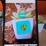 How to Revert Edited Picture to Original on Android