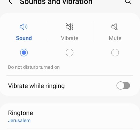 The What and The How of Vibrating Rings
